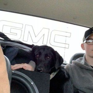 Meet your Posher, Gavin